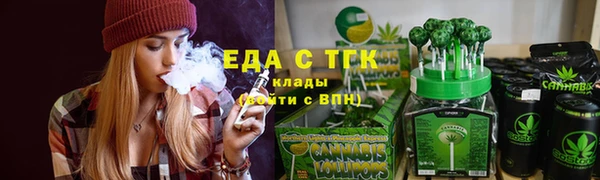 индика Верхний Тагил