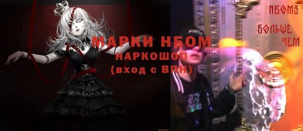 индика Верхний Тагил