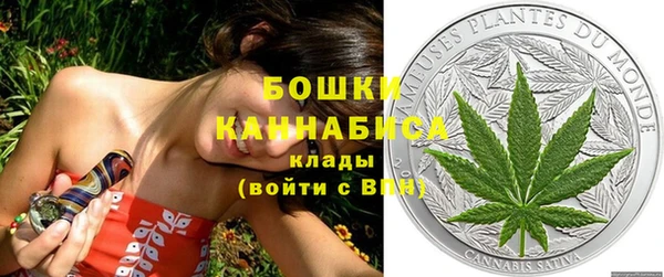 индика Верхний Тагил