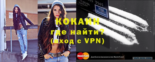 индика Верхний Тагил