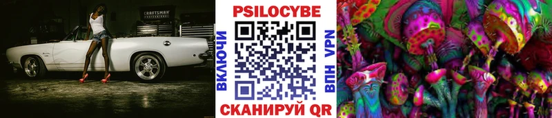 Псилоцибиновые грибы GOLDEN TEACHER  купить наркотик  Дмитров 