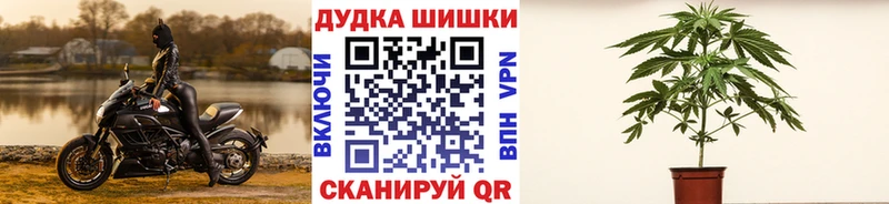 дарнет шоп  kraken маркетплейс  маркетплейс как зайти  Дмитров  Марихуана VHQ 